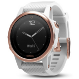 Garmin Fenix 5S Sapphire Edition